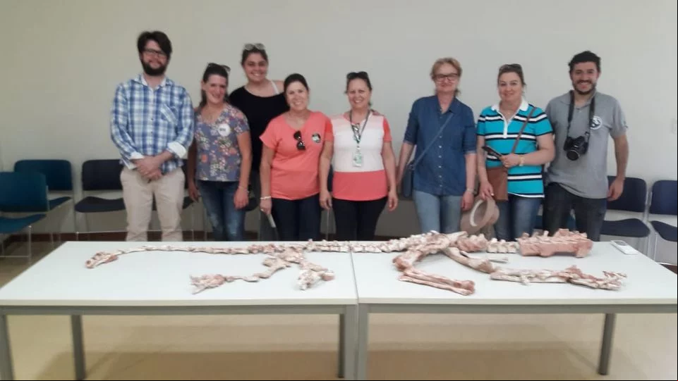 Santa Maria tem um parque temático chamado Dino Tchê, onde as pessoas aprendem sobre os répteis primitivos e veem uma réplica em tamanho natural do Estauricossauro.